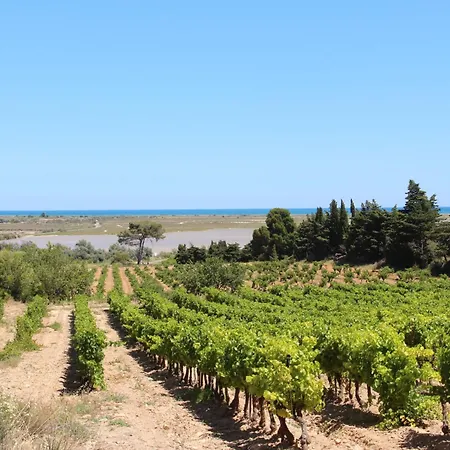 Les Terrasses De La Mediterranee-13 By Interhome 公寓 *